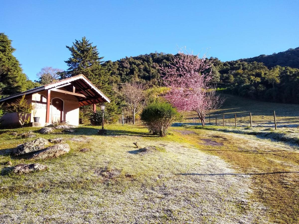 Chales Estrada De Chao Monte Verde  Kültér fotó